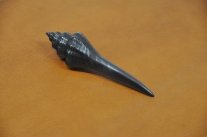 graphite pencil - shell