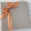 Silk Dupioni Bow Custom Book- Champagne silk & Nectarine, Copper Script embossing- by Blue Sky Papers