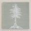 Velvet Photo Album - Sage velvet with Tree design - from Blue Sky Papers
